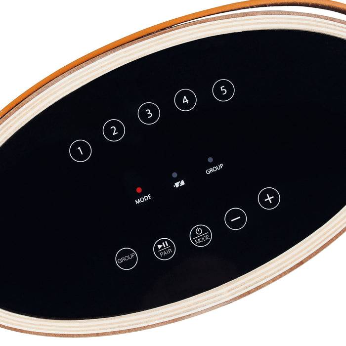 Schwaiger TIBO WiFi Lautsprecher (30 W) Großer Ausverkauf