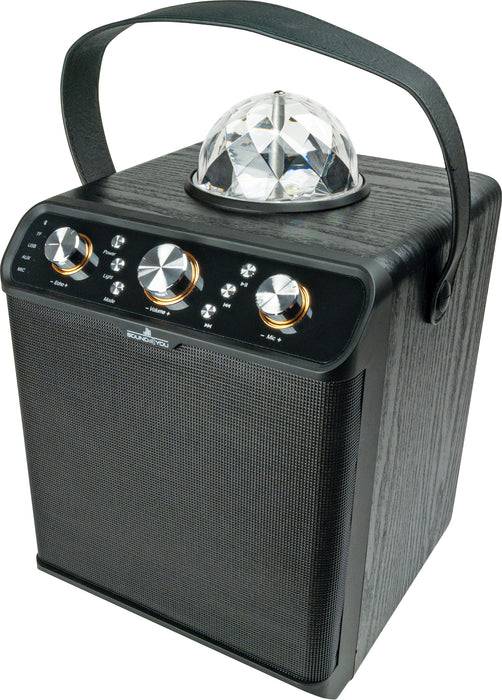 Schwaiger Bluetooth® Party Lautsprecher (30W) Neuheiten