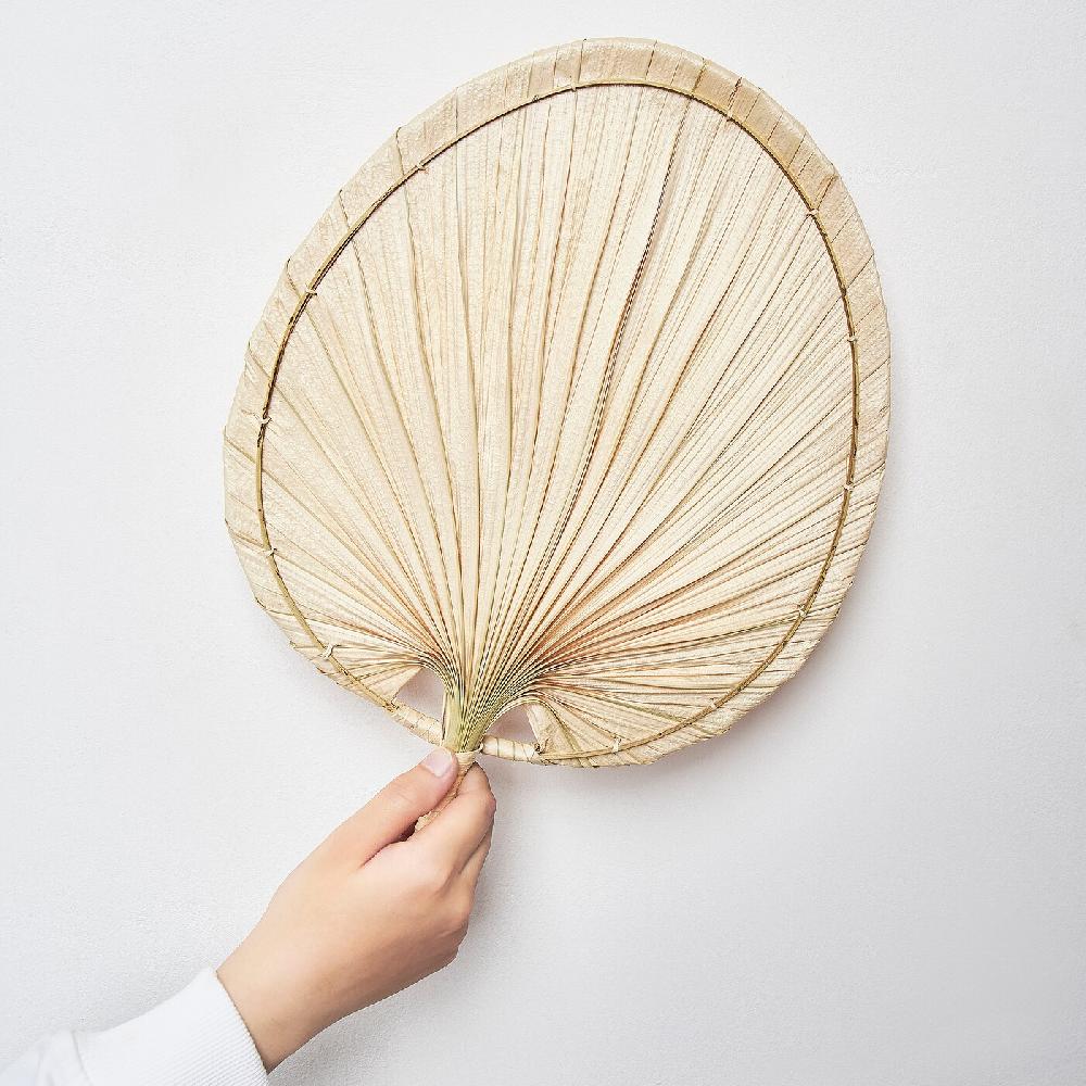 IKEA MOLNSKOG Wanddekoration 2er-Set Palmenblatt Handarbeit Günstig kaufen