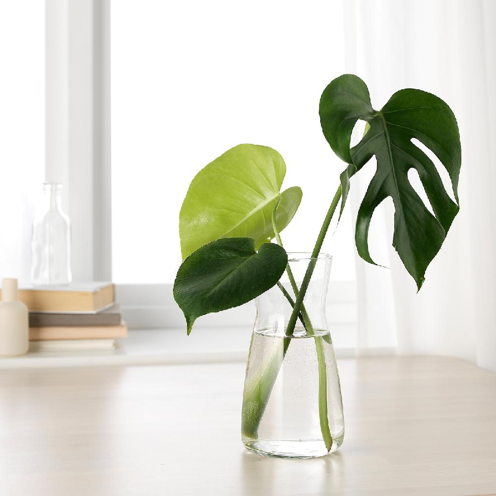 IKEA KARAFF Karaffe Klarglas 1.0 l Sonderangebote