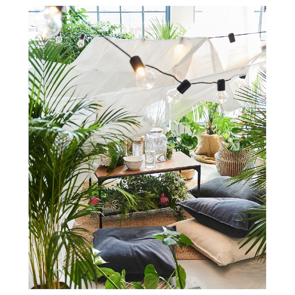 IKEA DYPSIS LUTESCENS Pflanze Goldfruchtpalme 24 cm Letzte 3 Tage