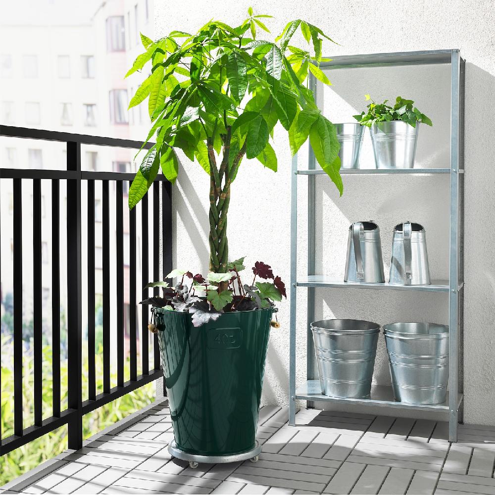 IKEA PACHIRA AQUATICA Pflanze Glückskastanie 27 cm Letzte 2 Tage