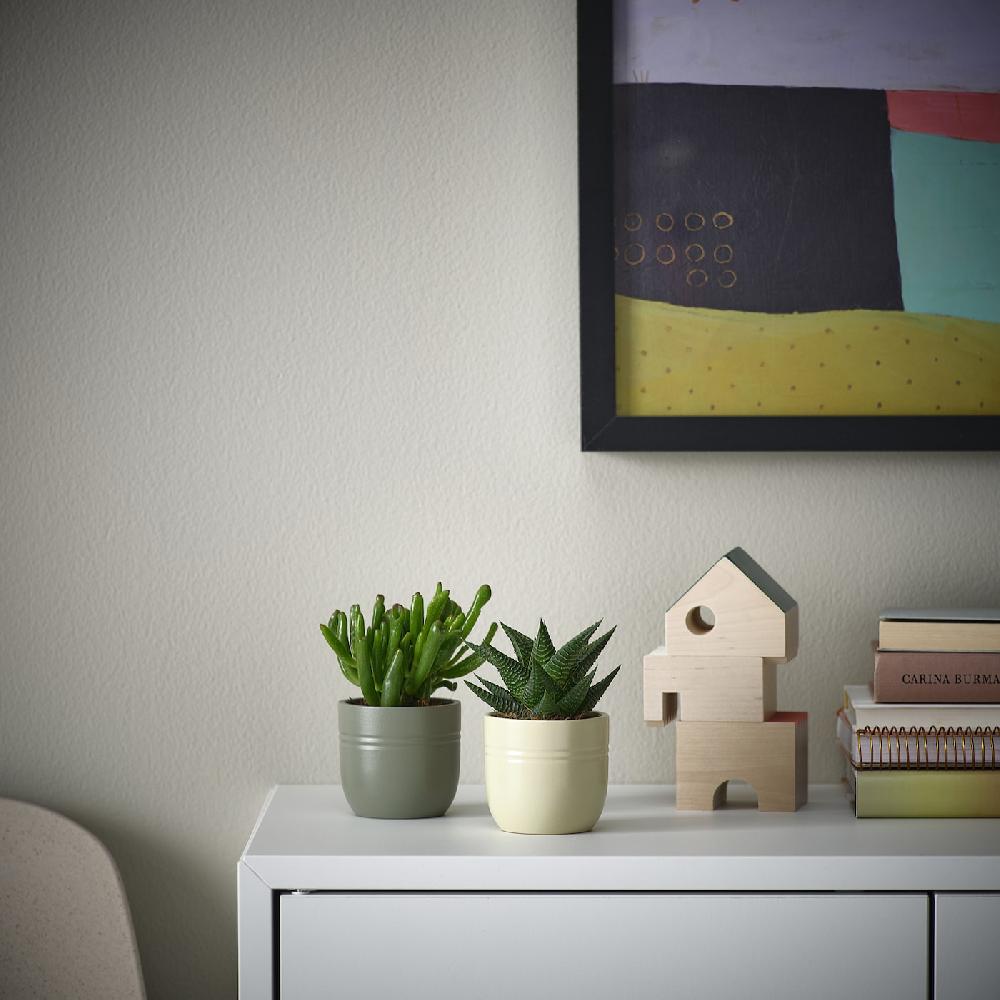 IKEA SUCCULENT Pflanze mit Übertopf Sukkulente versch. Farben 6 cm Letzter Tag