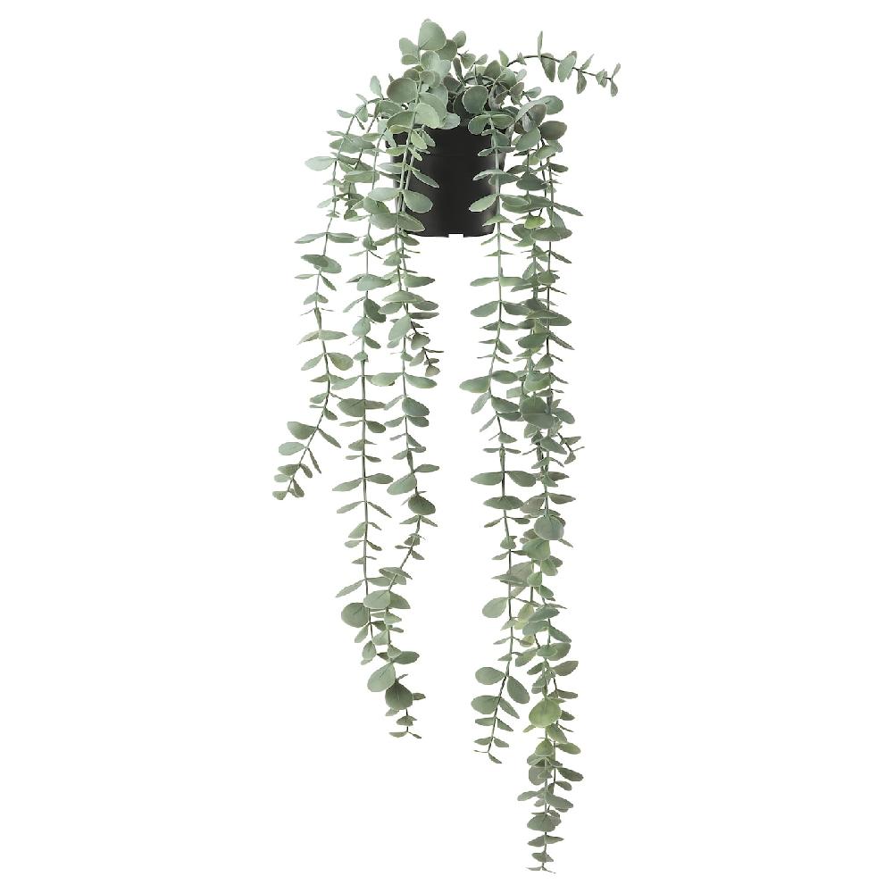 IKEA FEJKA Topfpflanze künstlich drinnen/draußen hängend/Eukalyptus 9 cm