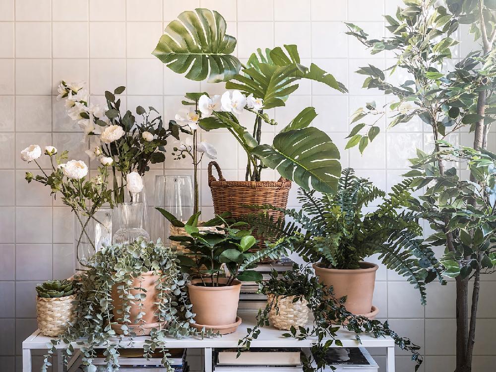 IKEA FEJKA Topfpflanze künstlich drinnen/draußen hängend/Eukalyptus 9 cm Bis zu 50% Rabatt