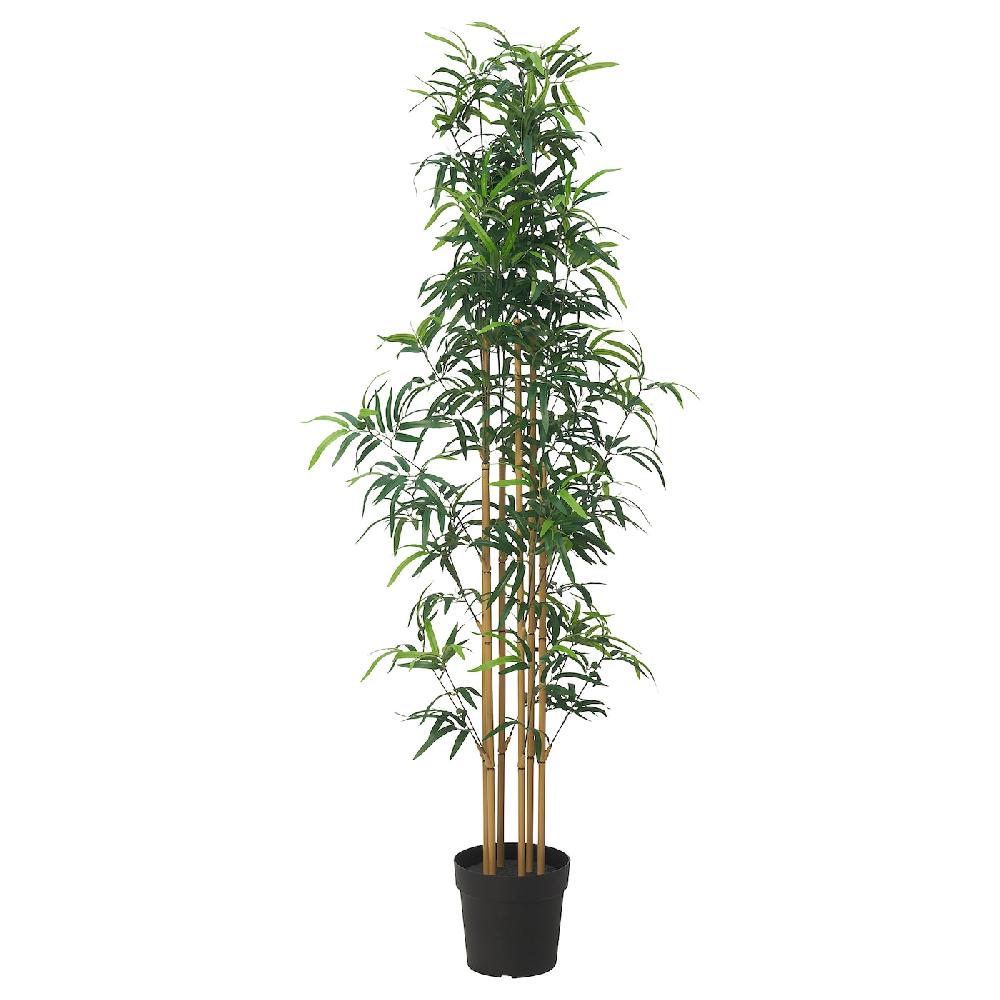 IKEA FEJKA Topfpflanze künstlich drinnen/draußen Bambus 23 cm 50% Rabatt mit kostenlosem Versand