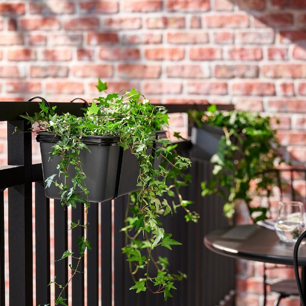 IKEA HEDERA HELIX Pflanze Efeu 13 cm Fabrikladen