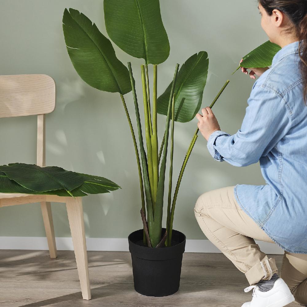 IKEA FEJKA Topfpflanze künstlich drinnen/draußen Strelitzie 23 cm Speichern exportieren