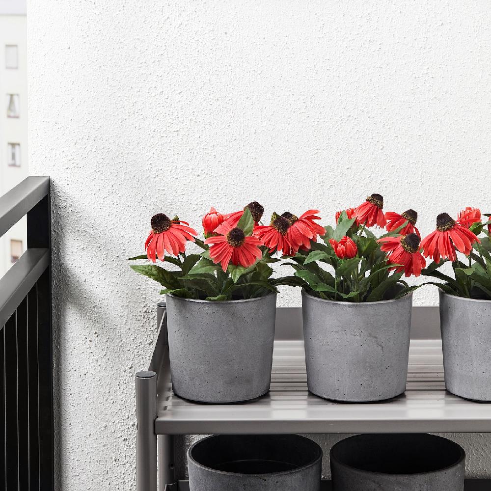 IKEA BOYSENBÄR Übertopf drinnen/draußen hellgrau 12 cm Rabatte dieses Monats