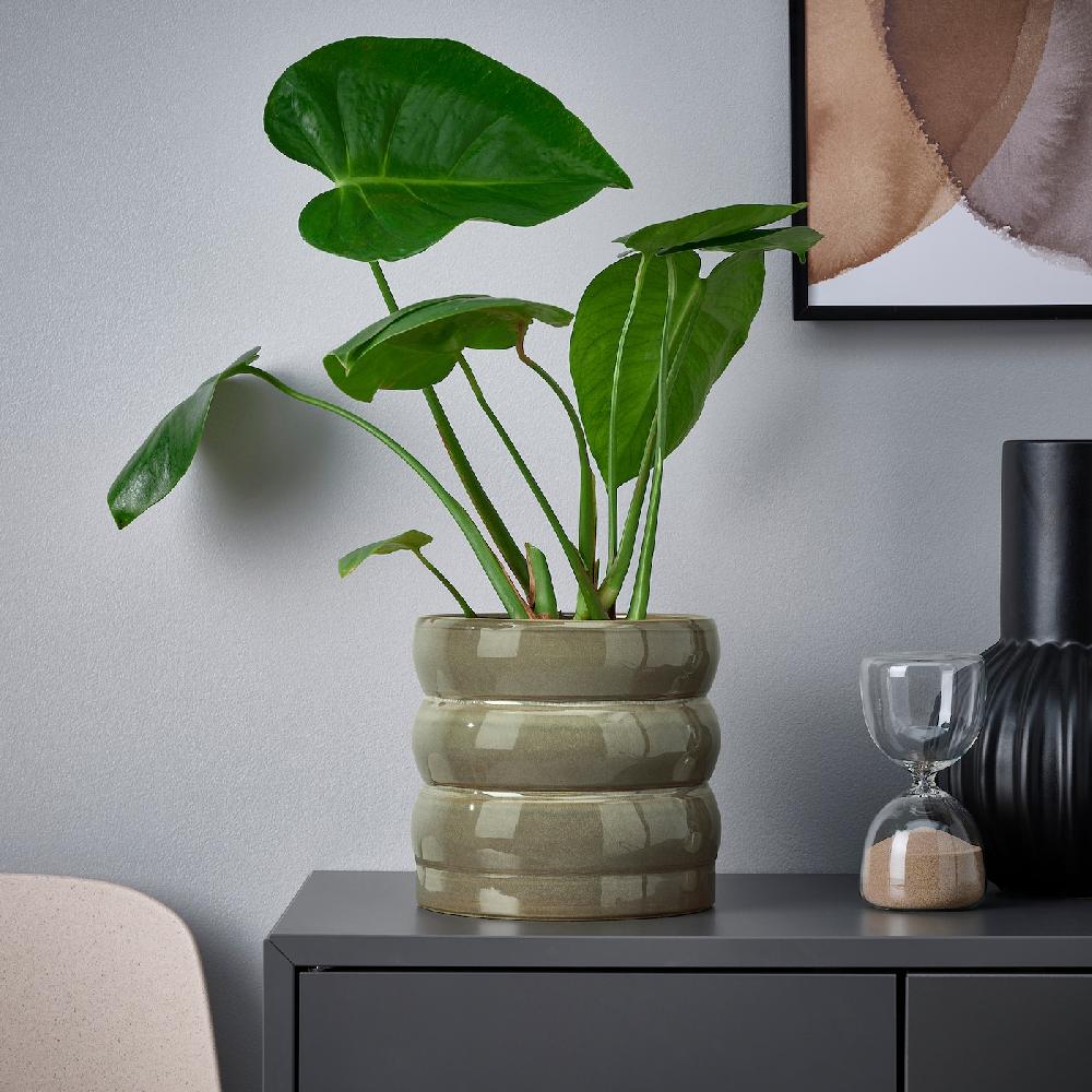 IKEA HASSELBUKETT Übertopf drinnen/draußen/grün/braun 15 cm Verkauf