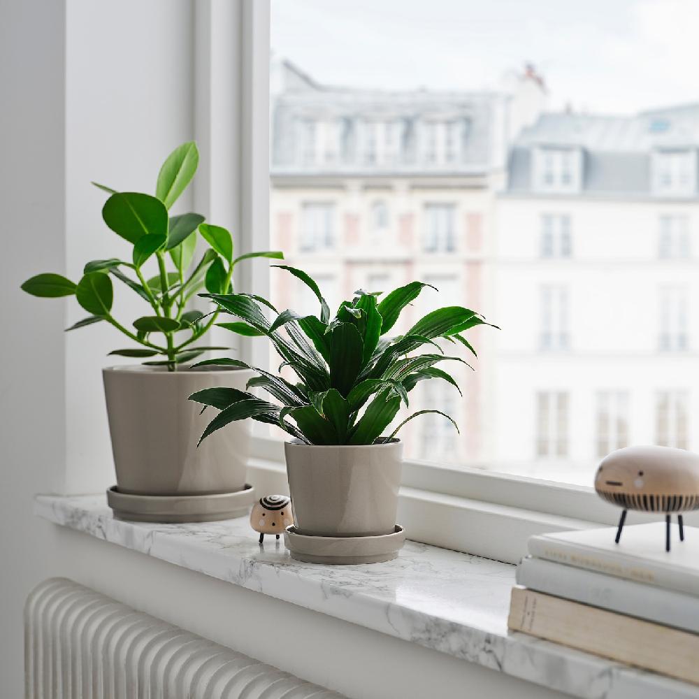IKEA KLOTLÖNN Blumentopf mit Untersetzer drinnen/draußen/grau/beige 15 cm Schlussverkauf
