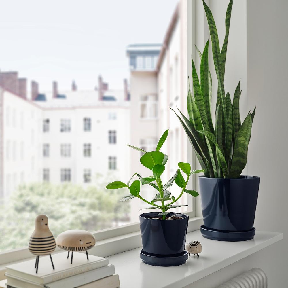 IKEA KLOTLÖNN Blumentopf mit Untersetzer drinnen/draußen/schwarzblau 19 cm Fabrikverkauf