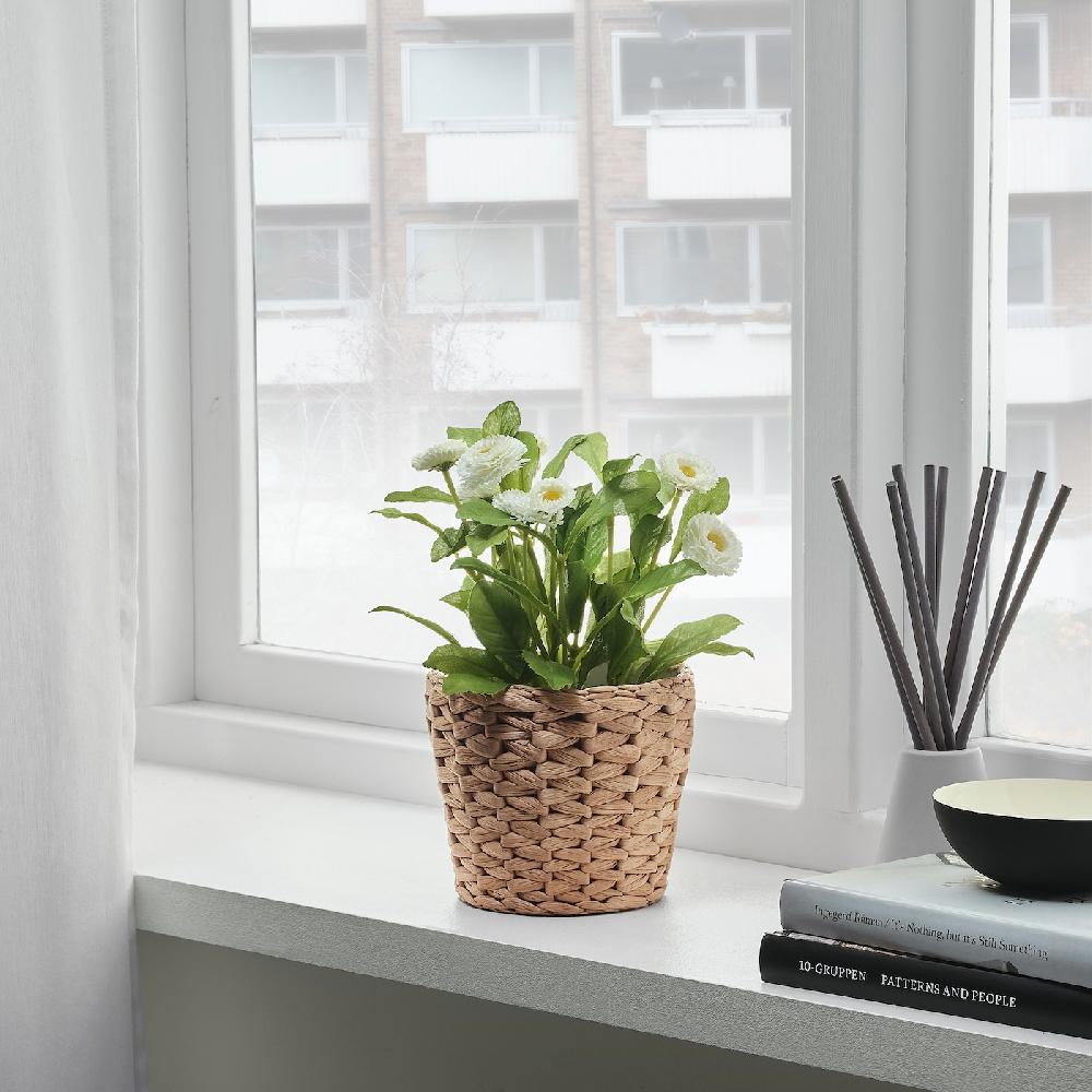 IKEA FRIDFULL Übertopf Wasserhyazinthe 12 cm Blitzverkäufe