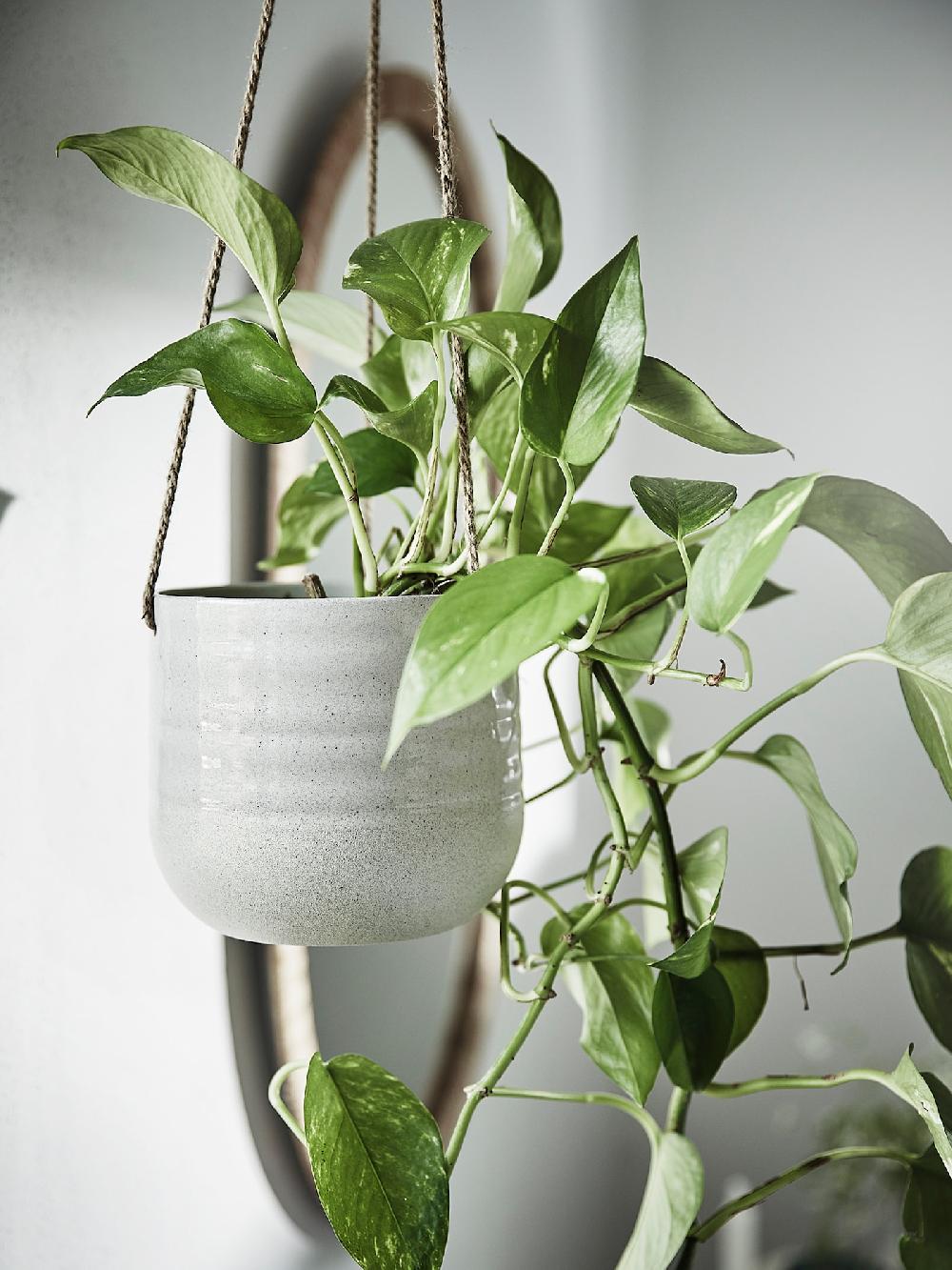 IKEA KAPKRUSBÄR Ampel hellgrau 12 cm Fabrikpreis