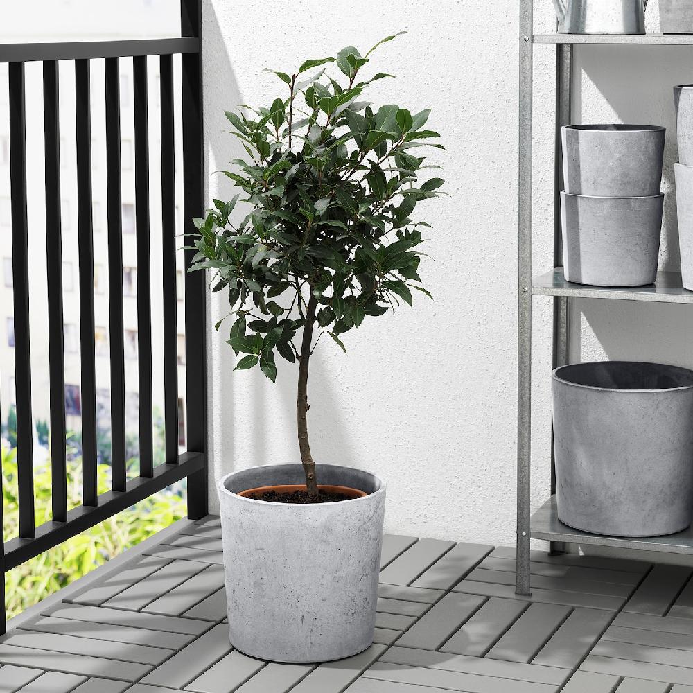 IKEA BOYSENBÄR Übertopf drinnen/draußen hellgrau 24 cm Rabatt