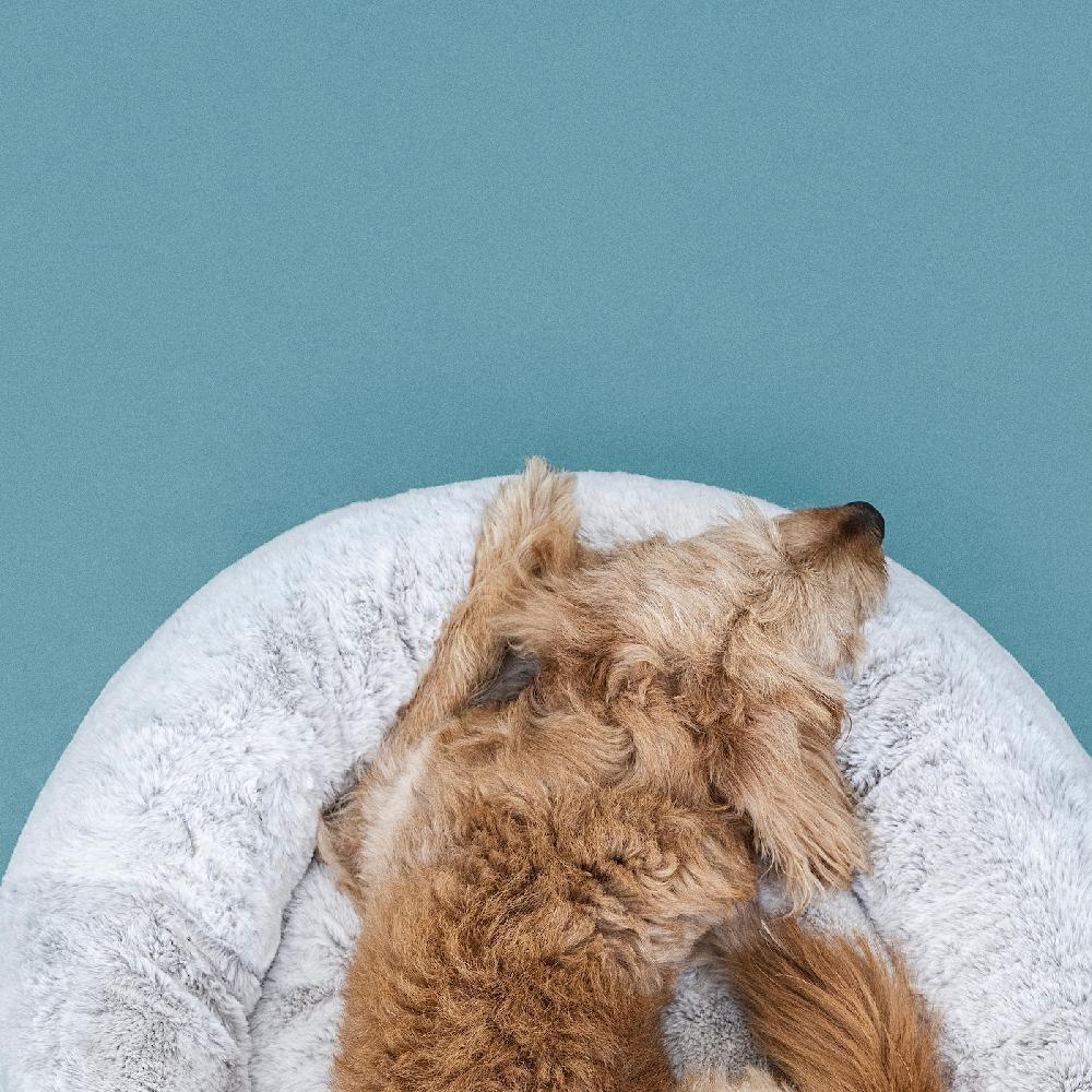 IKEA UTSÅDD Tierbett hellgrau M Günstiger Verkauf
