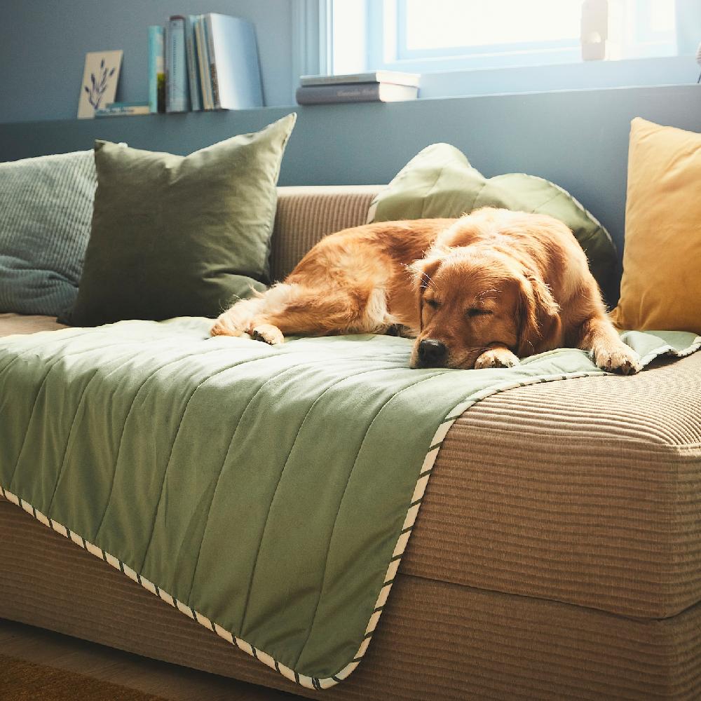 IKEA UTSÅDD Decke für Haustier grün 100x150 cm Meist gekauft