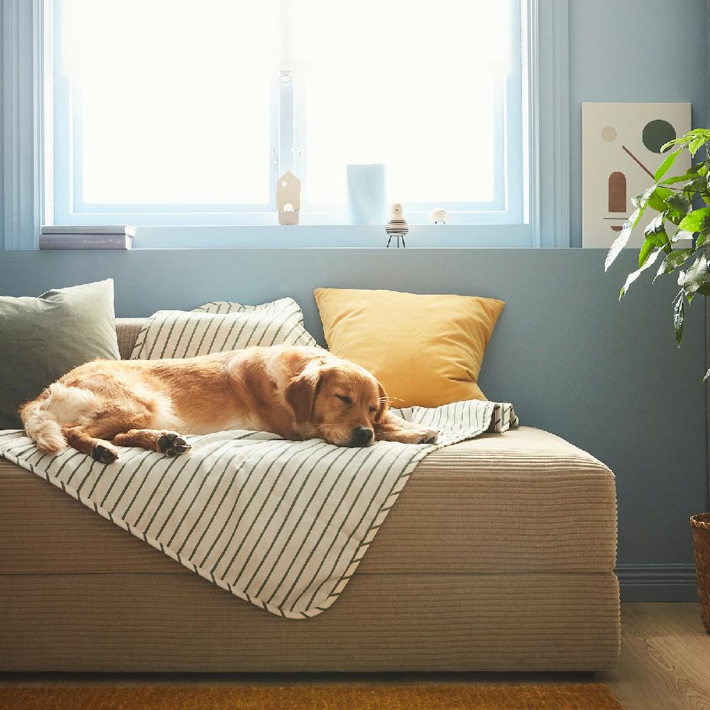 IKEA UTSÅDD Decke für Haustier grün 100x150 cm Meist gekauft