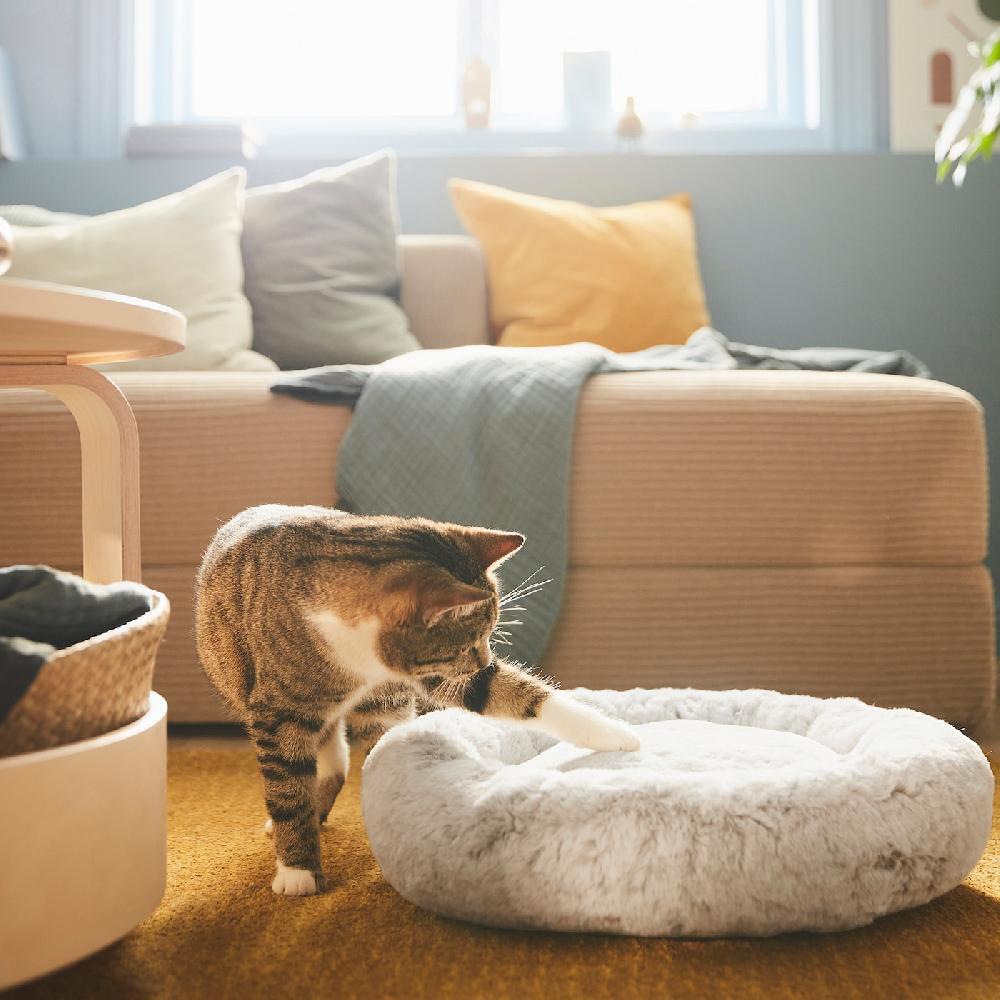 IKEA UTSÅDD Tierbett hellgrau S Blitzverkäufe