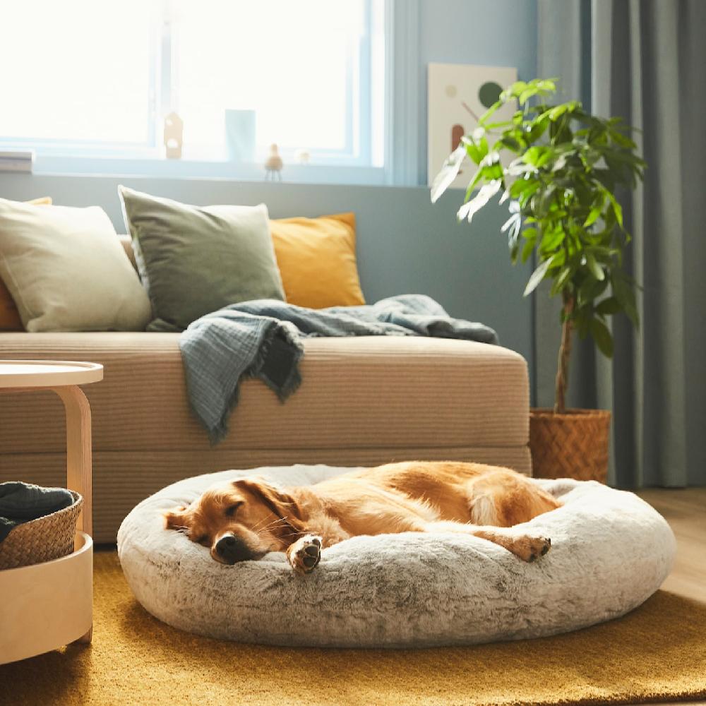 IKEA UTSÅDD Tierbett hellgrau L Fabrik Onlineshop