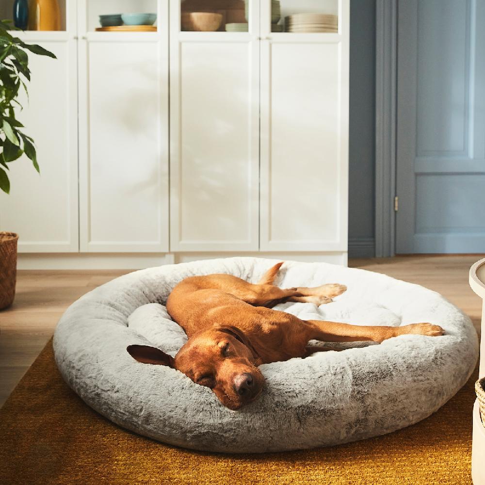 IKEA UTSÅDD Tierbett hellgrau XL Fabrikpreis