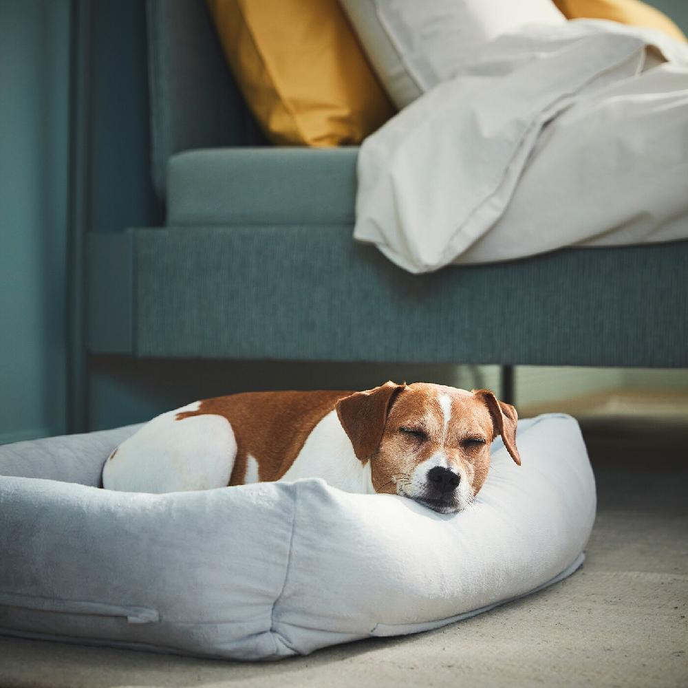 IKEA UTSÅDD Hundebett hellgrau M Großer Ausverkauf