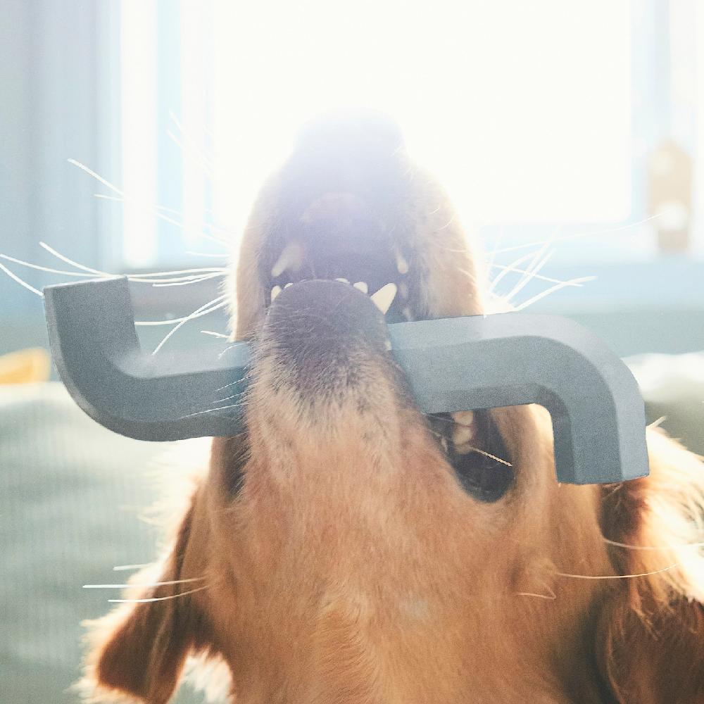 IKEA UTSÅDD Hundespielzeug graublau Begrenztes Angebot
