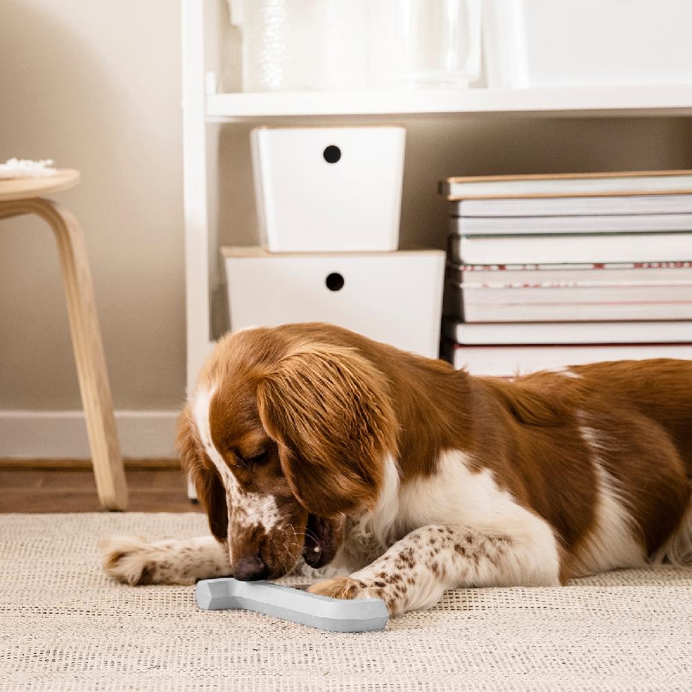 IKEA UTSÅDD Hundespielzeug graublau Begrenztes Angebot