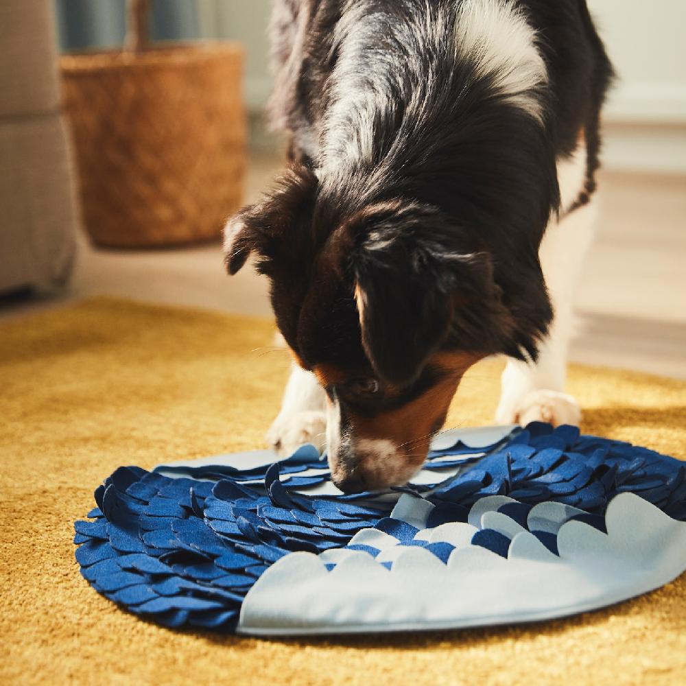 IKEA UTSÅDD Schnüffelmatte für Hunde blau Online Shopping