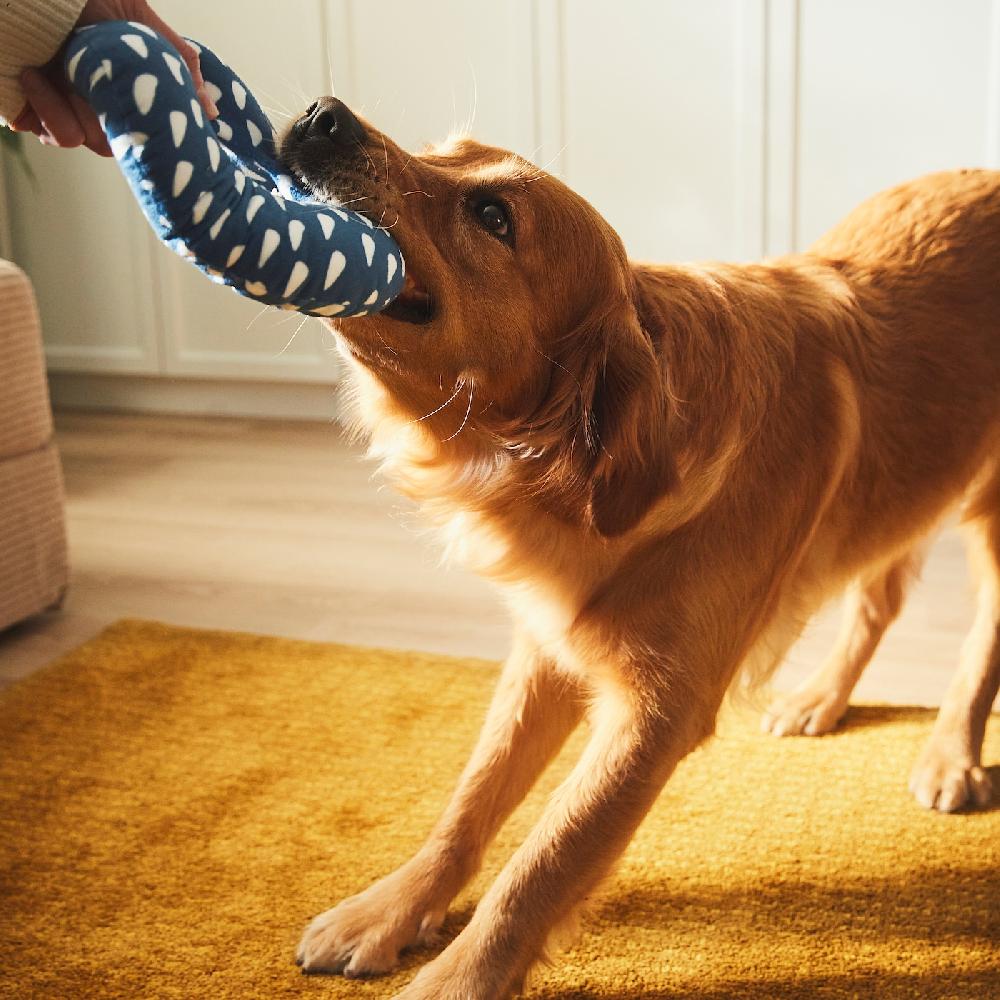 IKEA UTSÅDD Stoffspielzeug für Hunde blau Saisonschlussverkauf