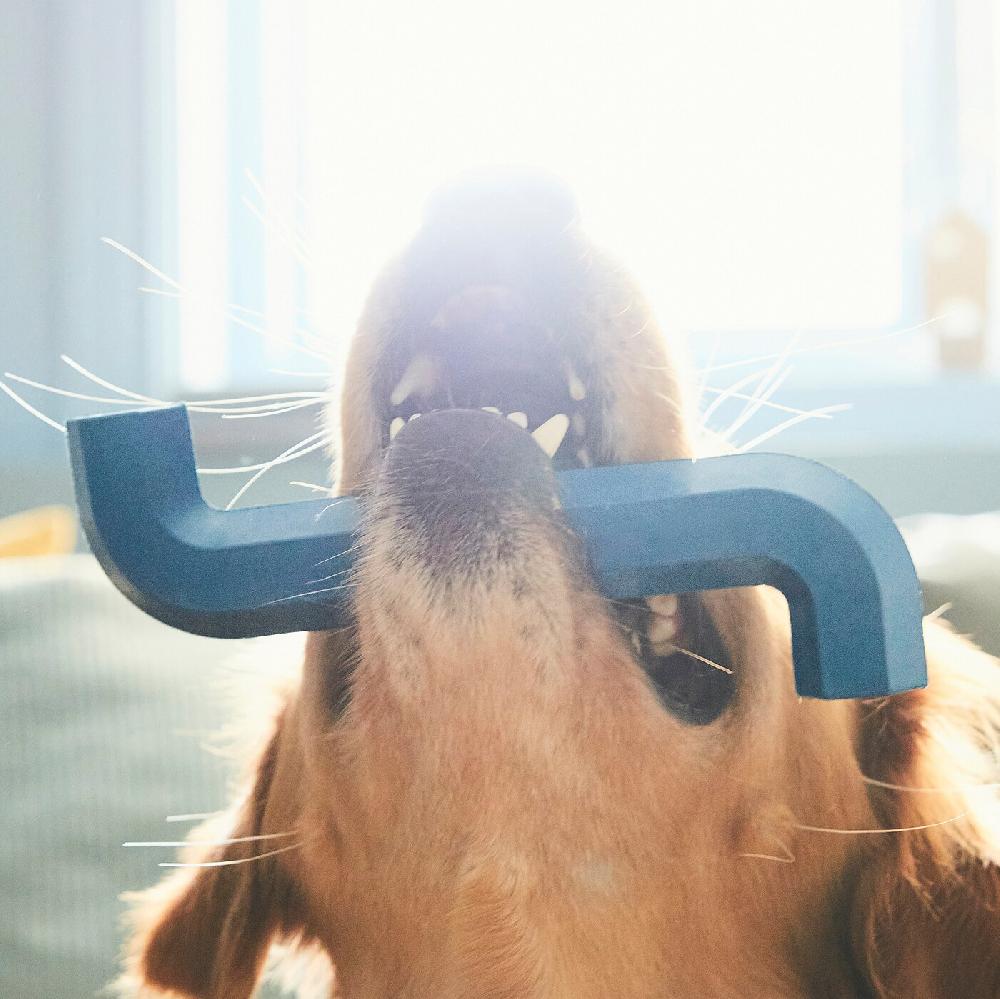 IKEA UTSÅDD Hundespielzeug dunkelblau Cyber Monday