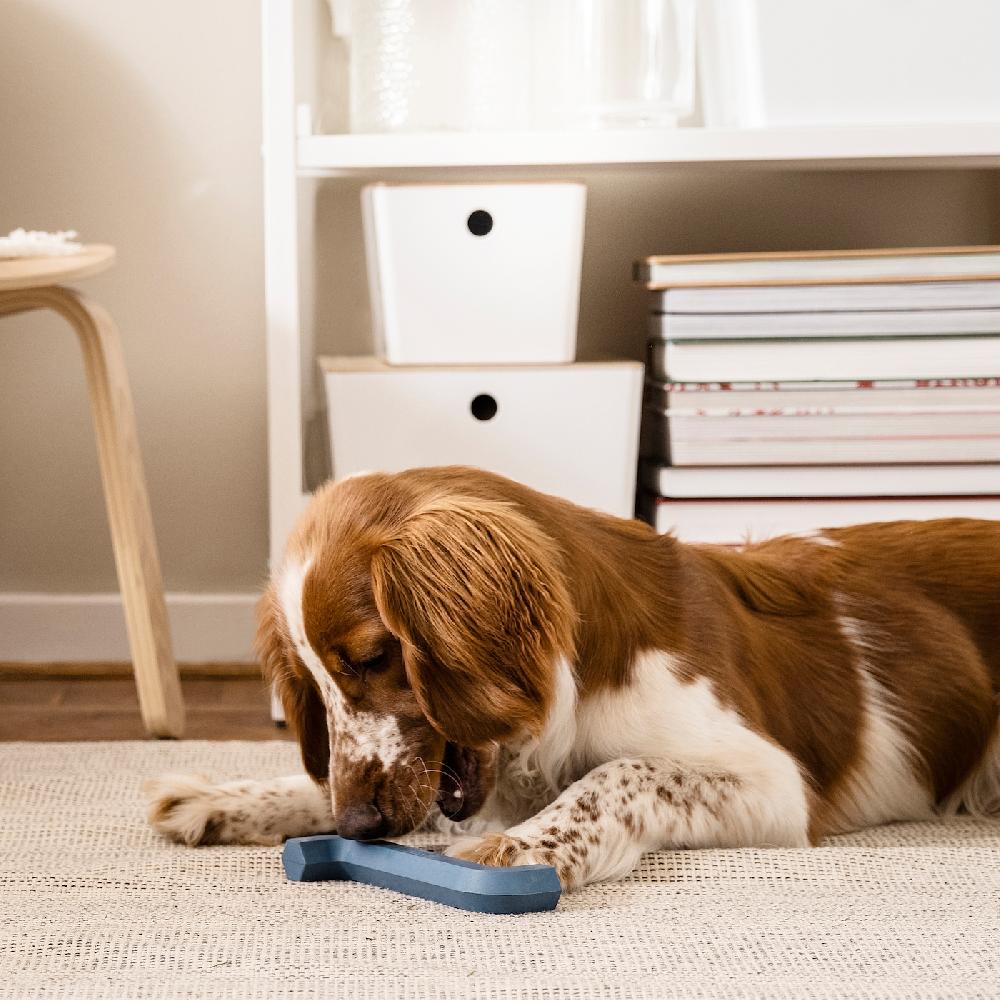 IKEA UTSÅDD Hundespielzeug dunkelblau Cyber Monday
