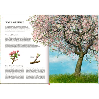 manufactum Das große Buch vom Apfelbaum Wochenangebot