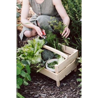 manufactum Kleine Gartenschere Discount Store für neue Produkte