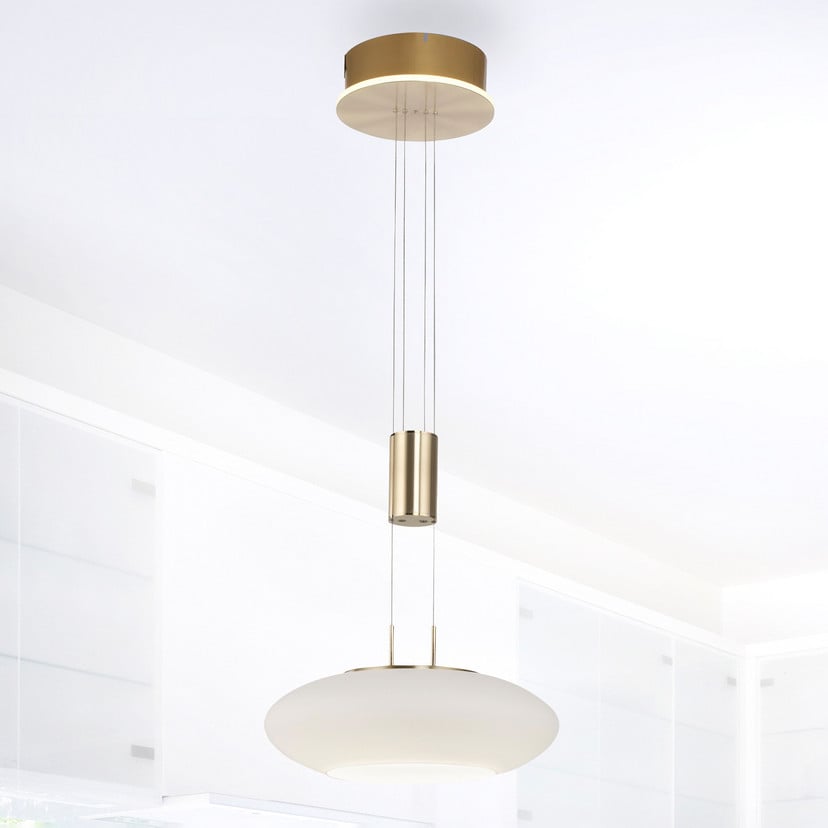 lampenwelt Paul Neuhaus Q-ETIENNE LED-Hängelampe 1fl messing