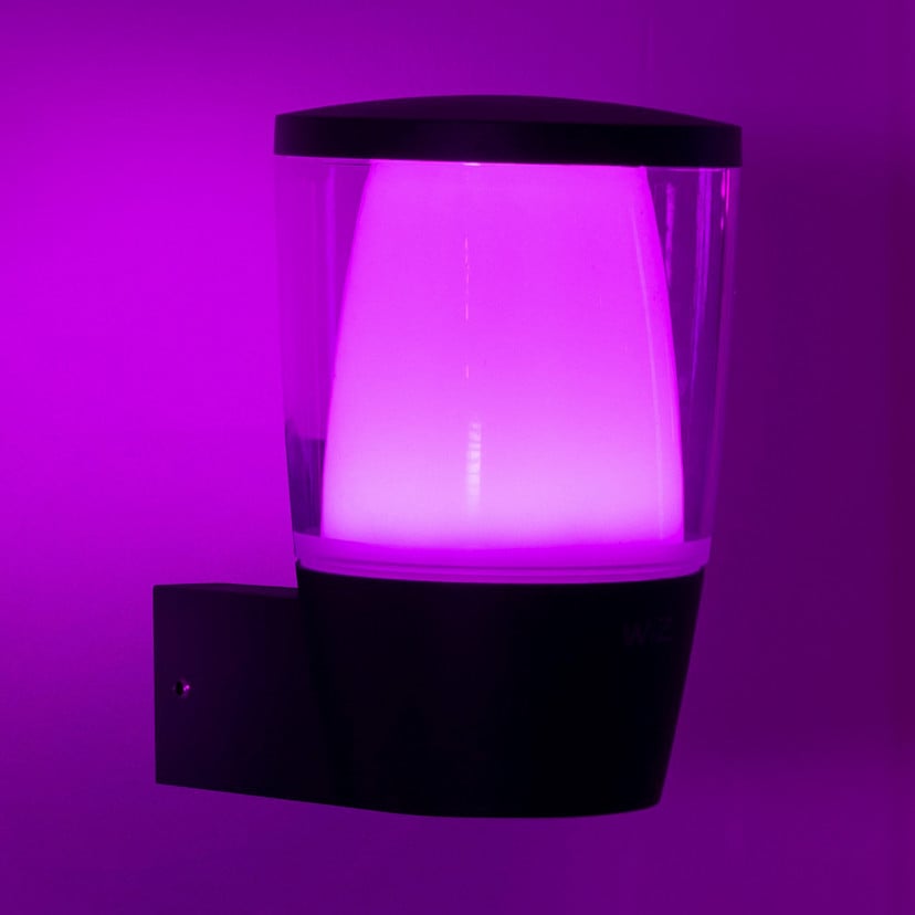 lampenwelt WiZ LED-Außenwandleuchte Elpas RGBW schwarz