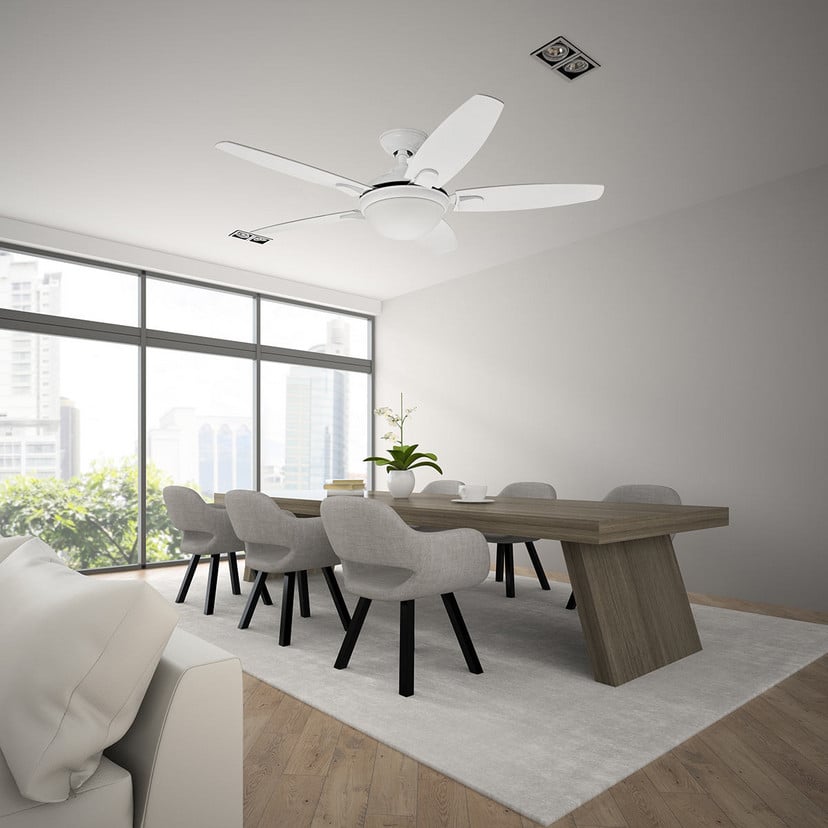 lampenwelt Hunter Contempo - Deckenventilator mit Licht Letzte 3 Tage