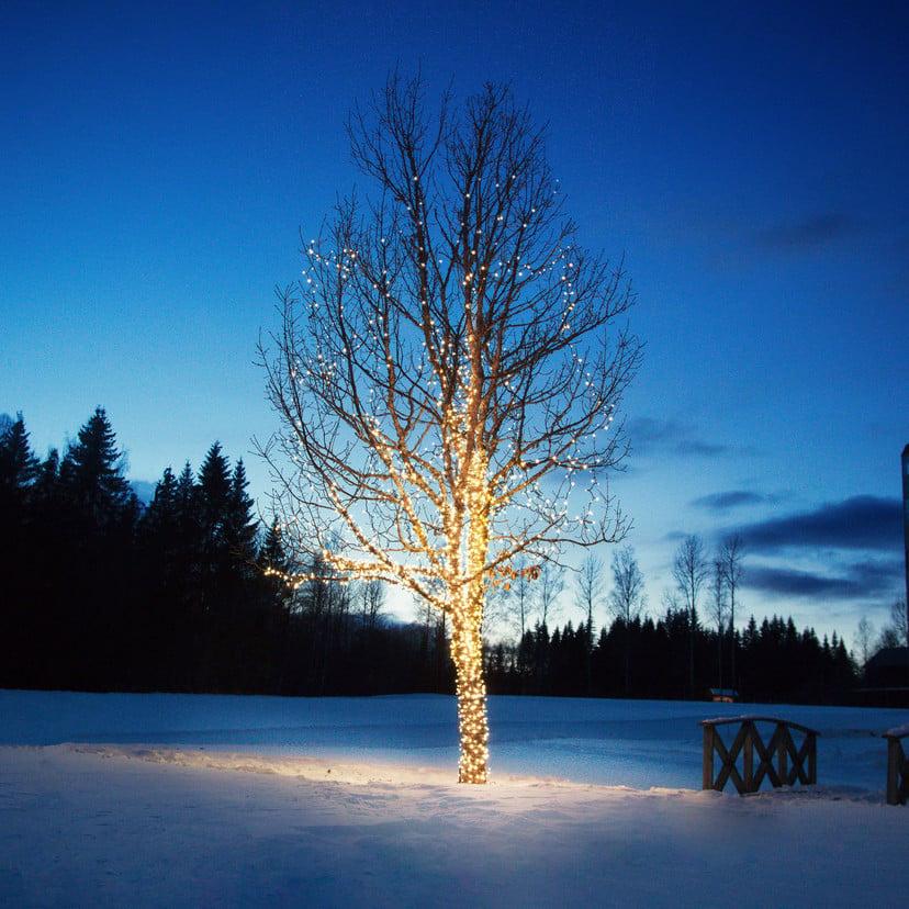lampenwelt Lichterkette Chrissline Extra 50 LEDs 2.850K Kauf eins, bekomm eins gratis
