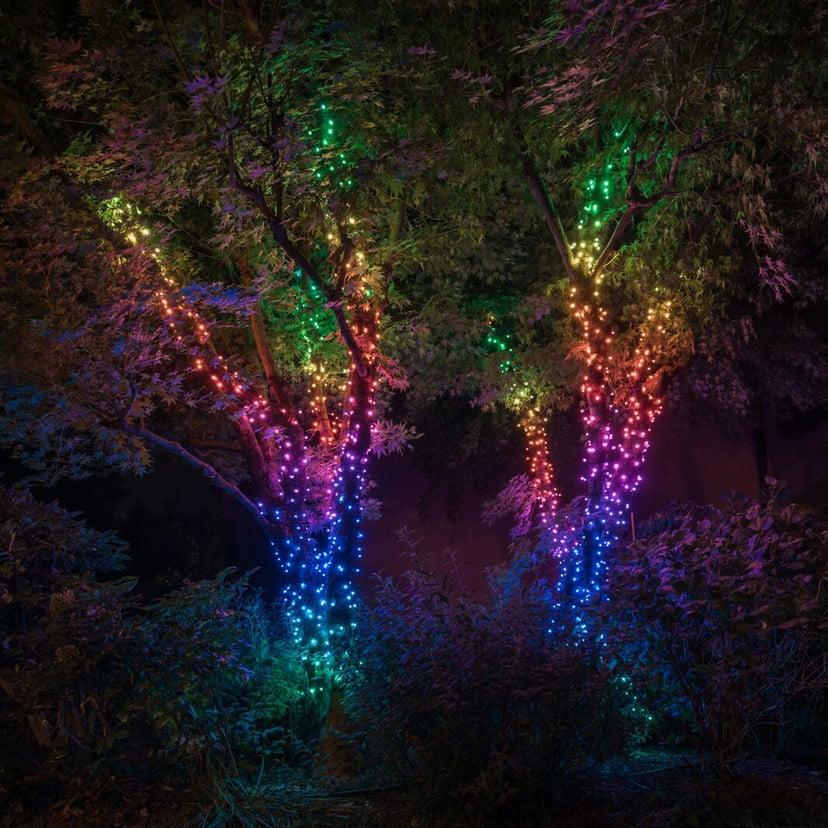 lampenwelt Lichterkette Twinkly RGB schwarz 100-flammig 8m